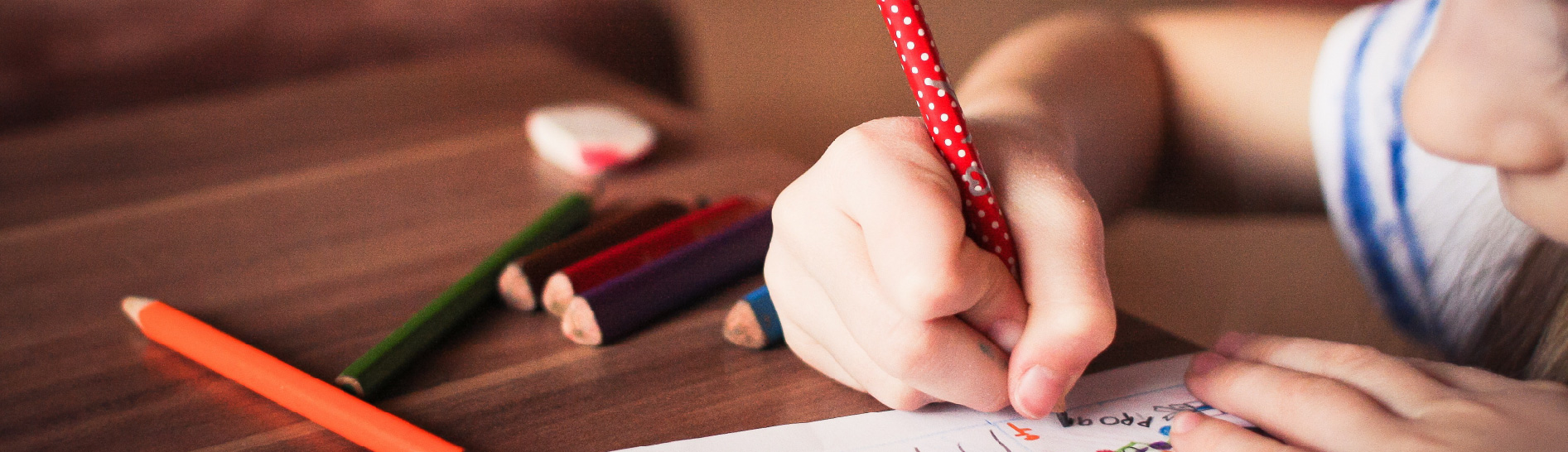 Corso tecnico animazione socio educativa Cosenza Rende CS Calabria